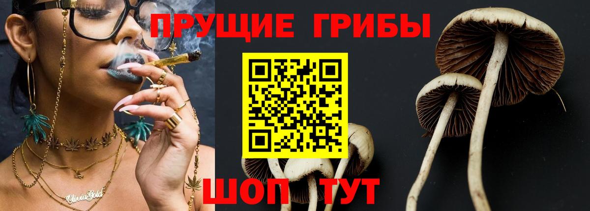 Псилоцибиновые грибы GOLDEN TEACHER  Вход с VPN  купить наркоту  Выкса 