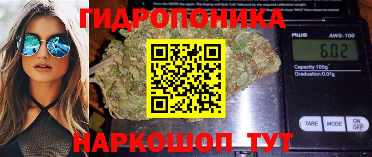Марихуана семена  Вход с VPN  Бошки Шишки сатива  Марихуана Amnesia  Каннабис THC 21%  Выкса 